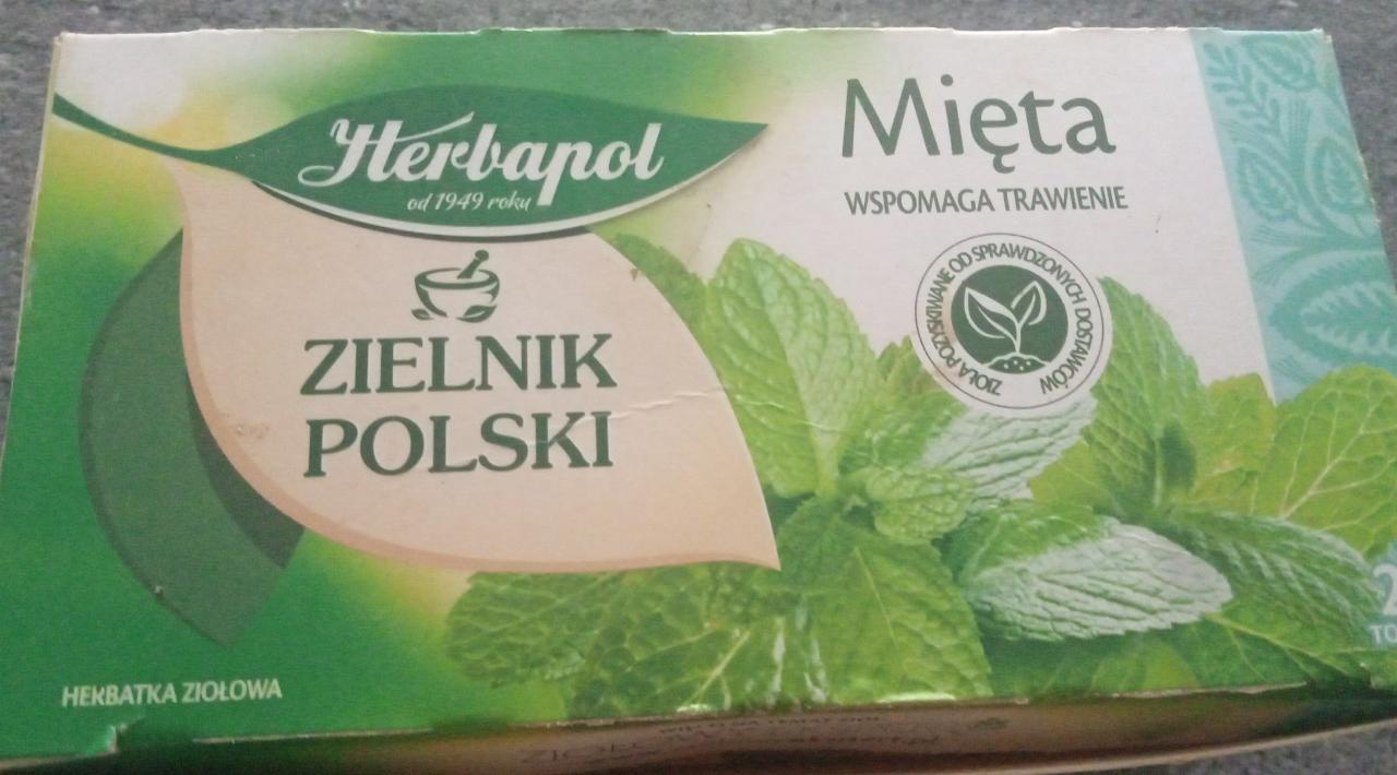 Zdjęcia - Mięta Herbapol