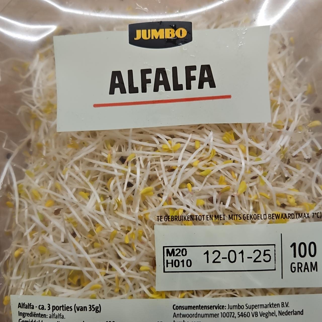 Zdjęcia - Kiełki alfalfa Jumbo