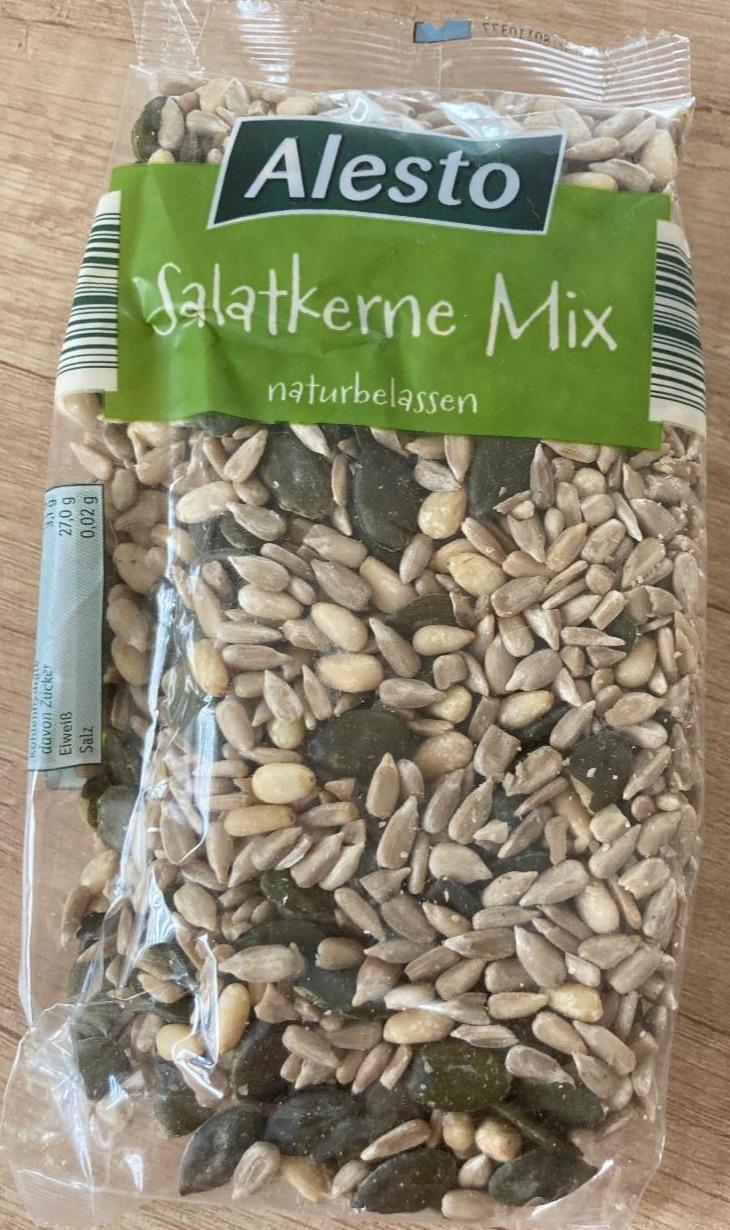 Zdjęcia - Salatkerne mix naturbelassen Alesto
