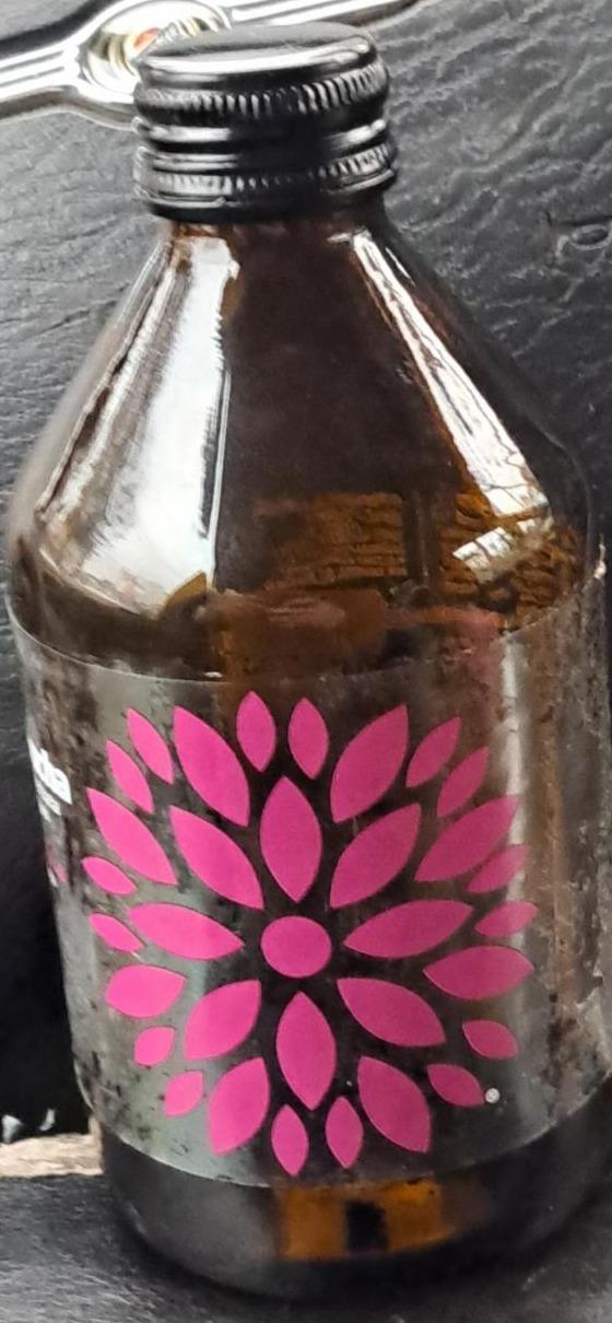 Zdjęcia - Kombucha mango marakuja Vigo