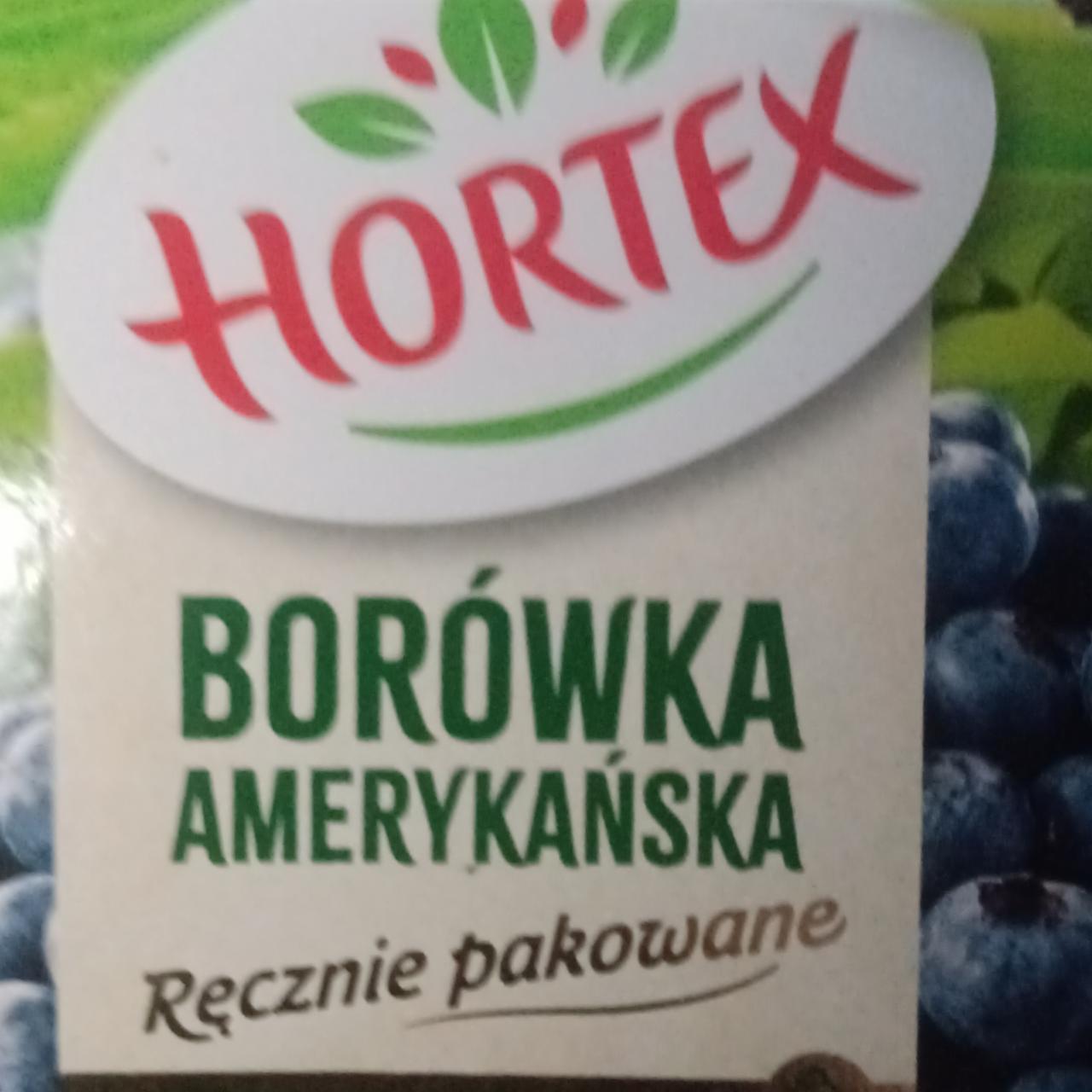 Zdjęcia - Borówka amerykańska Hortex