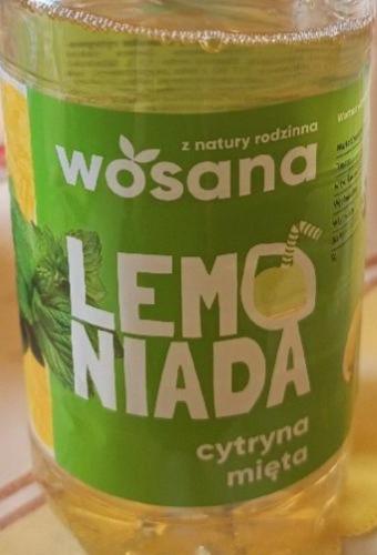 Zdjęcia - Lemoniada cytryna mięta Wosana