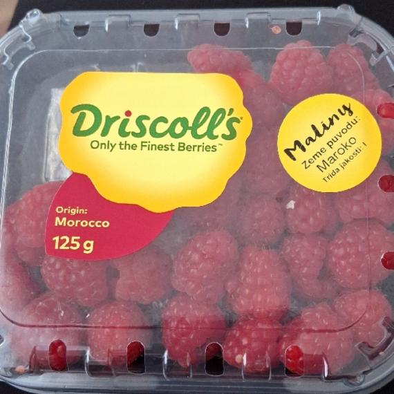 Zdjęcia - Maliny Driscoll's