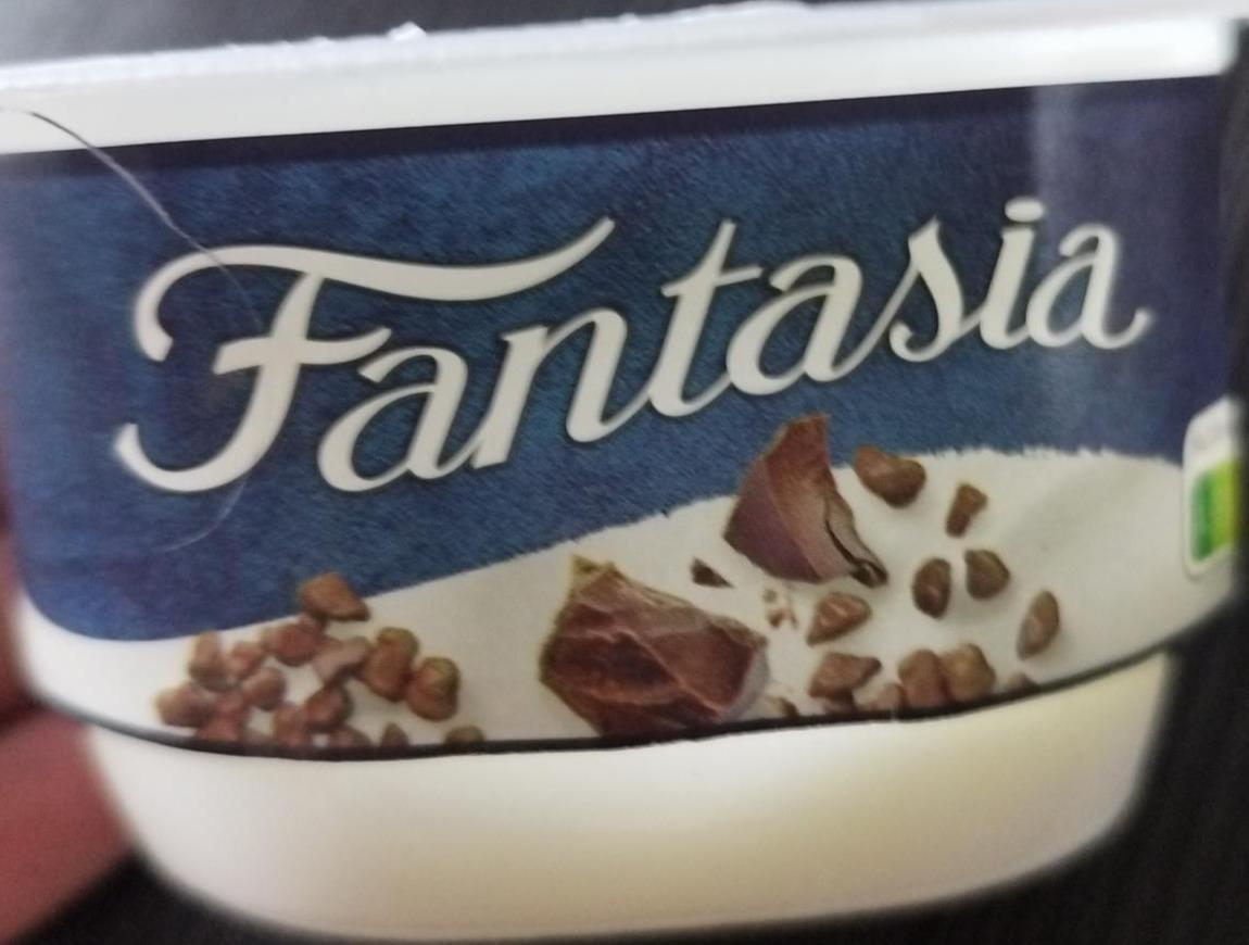 Zdjęcia - Jogurt kremowy z kawałkami czekolady mlecznej 106 g Fantasia