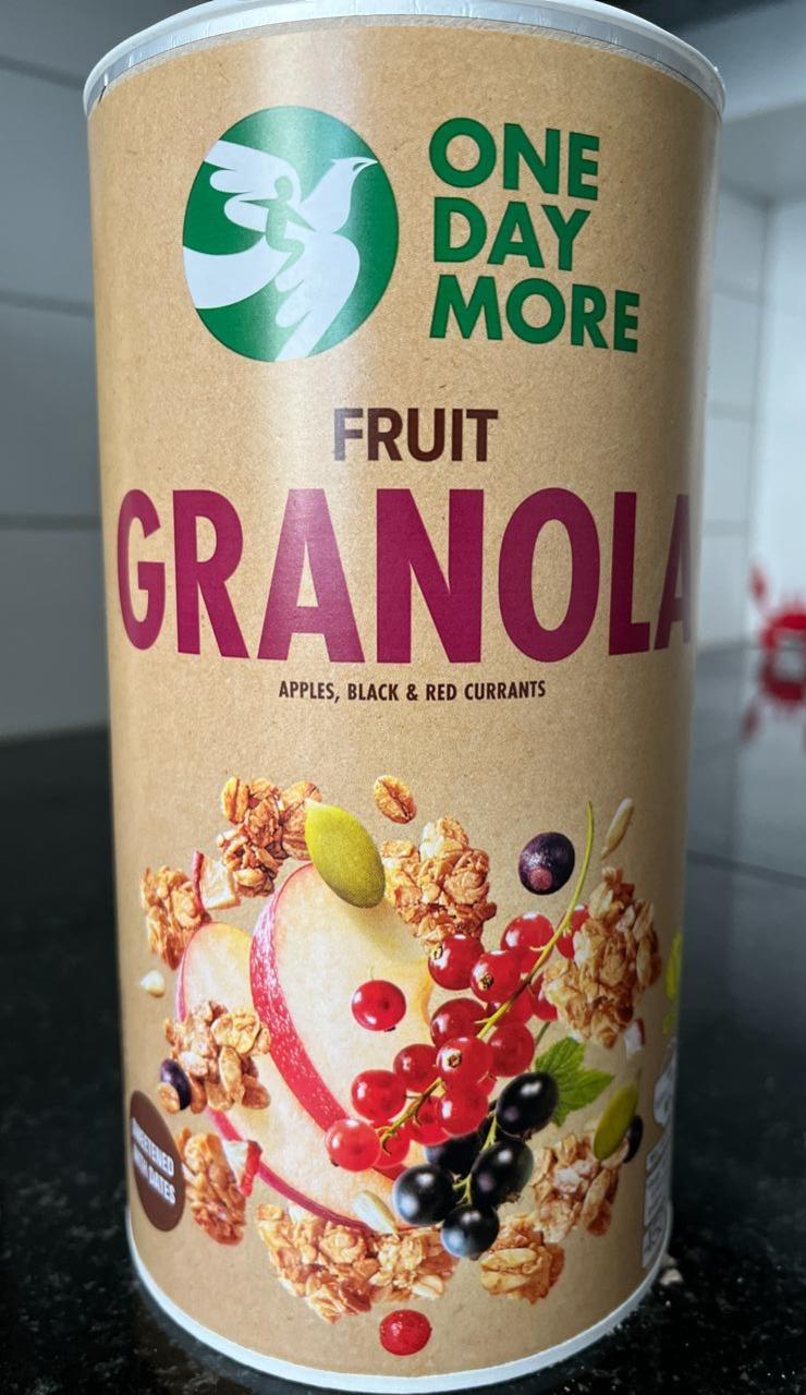 Zdjęcia - Fruit granola apple, black & red currants One Day More