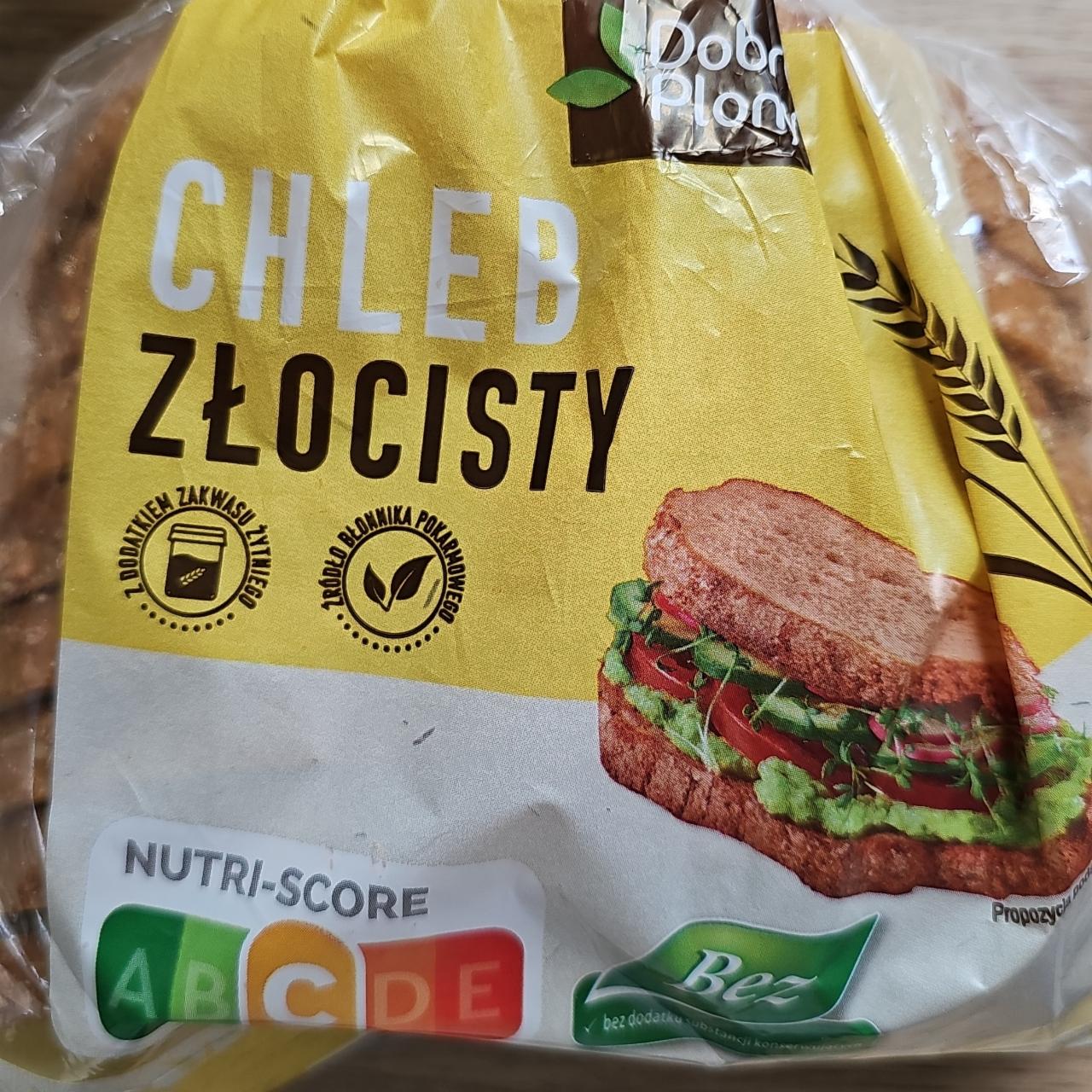 Zdjęcia - Chleb złocisty Dobre plony