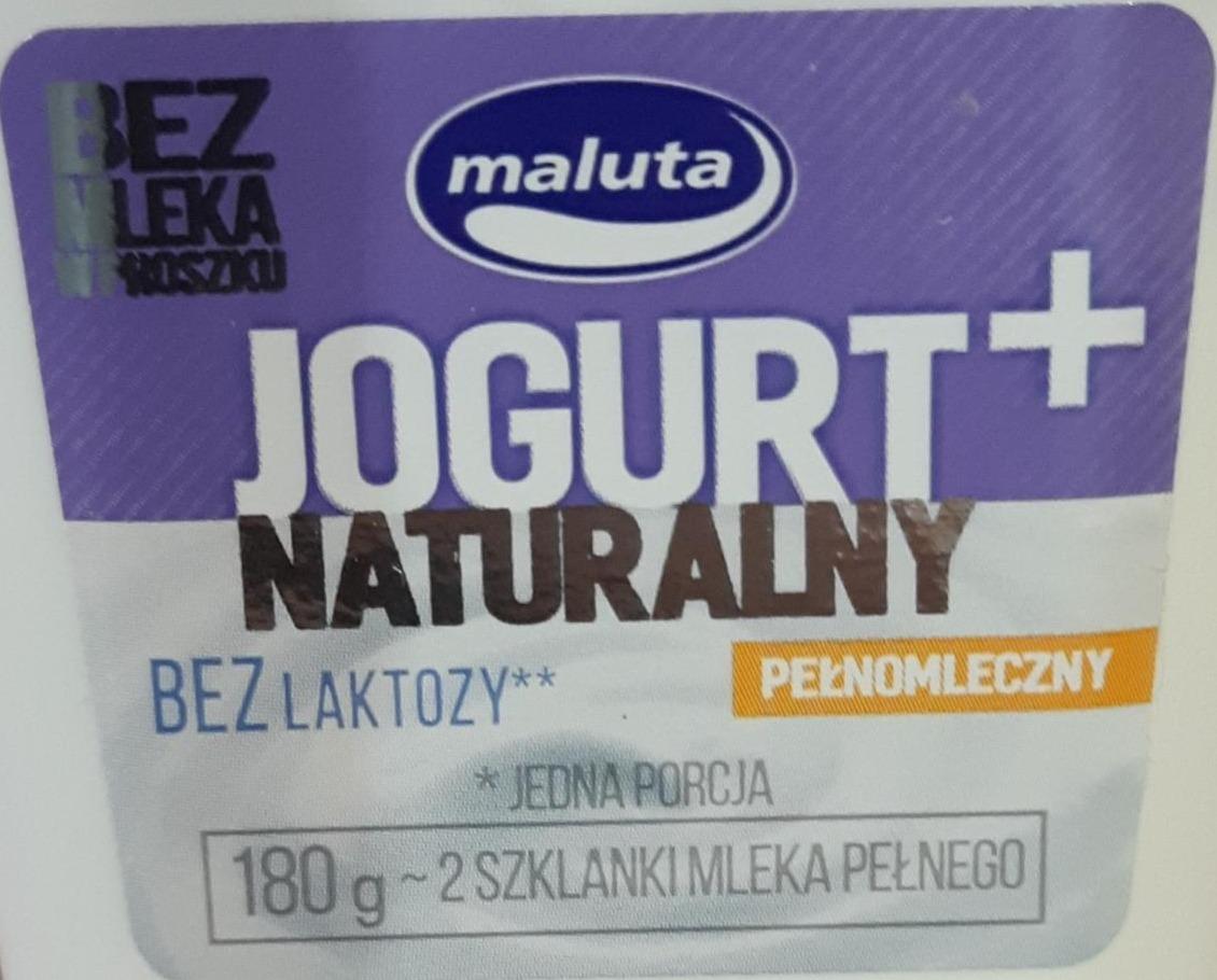 Zdjęcia - Jogurt naturalny bez laktozy pełnomleczny Maluta