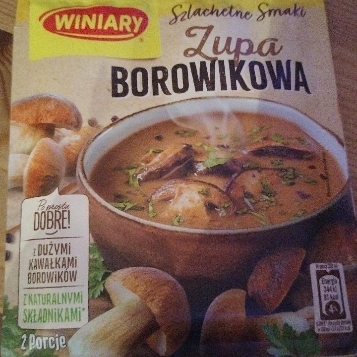Zdjęcia - Winiary Szlachetne Smaki Zupa borowikowa 44 g