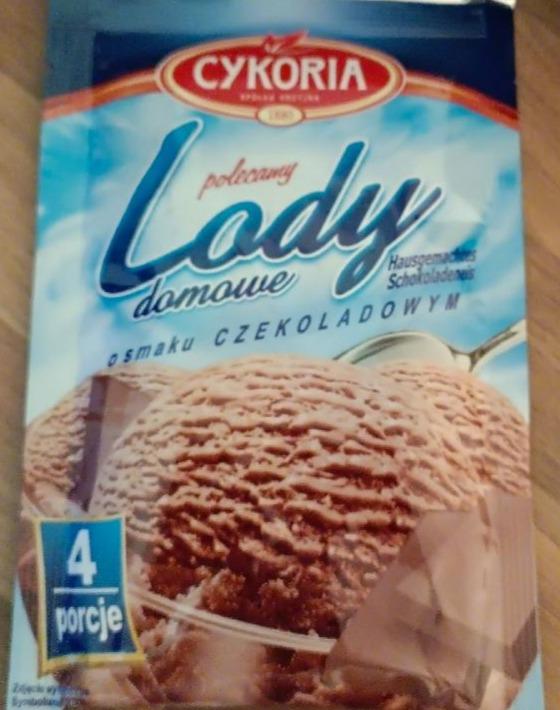Zdjęcia - Lody domowe o smaku czekoladowym Cykoria