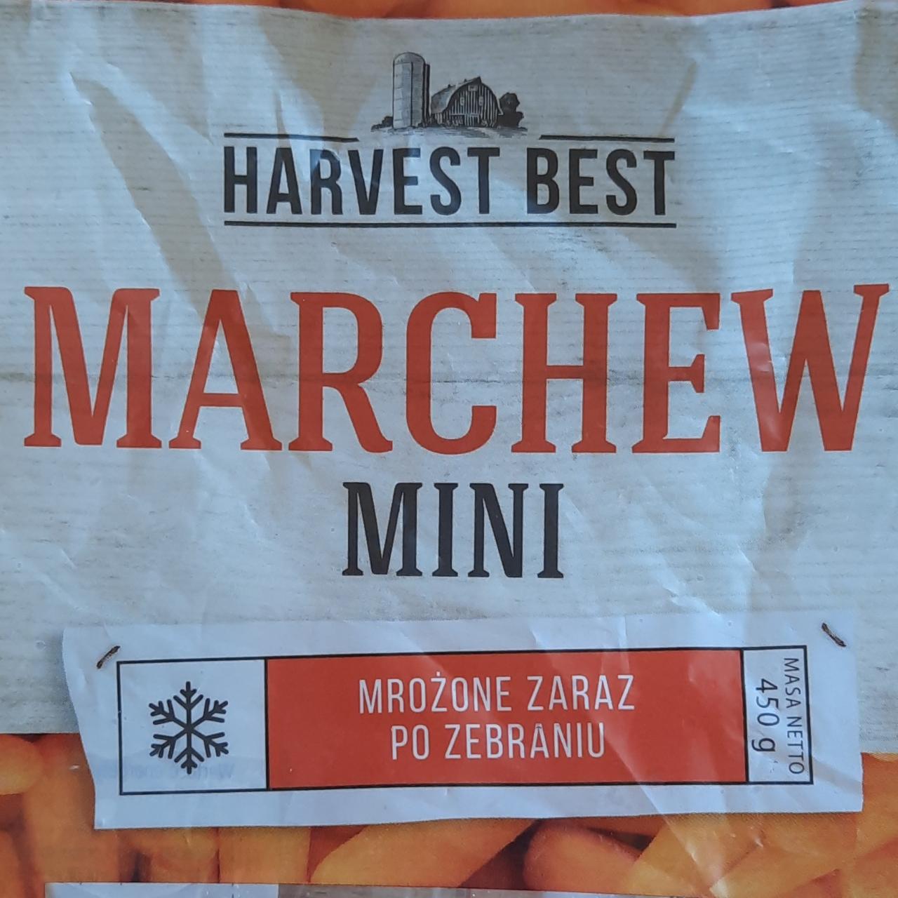 Zdjęcia - Marchew mini Harvest Best