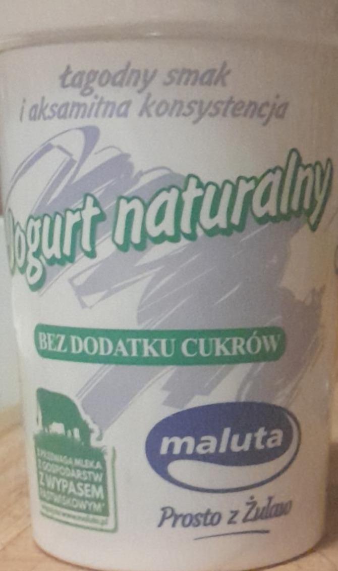 Zdjęcia - Jogurt naturalny bez dodatku cukrów Maluta