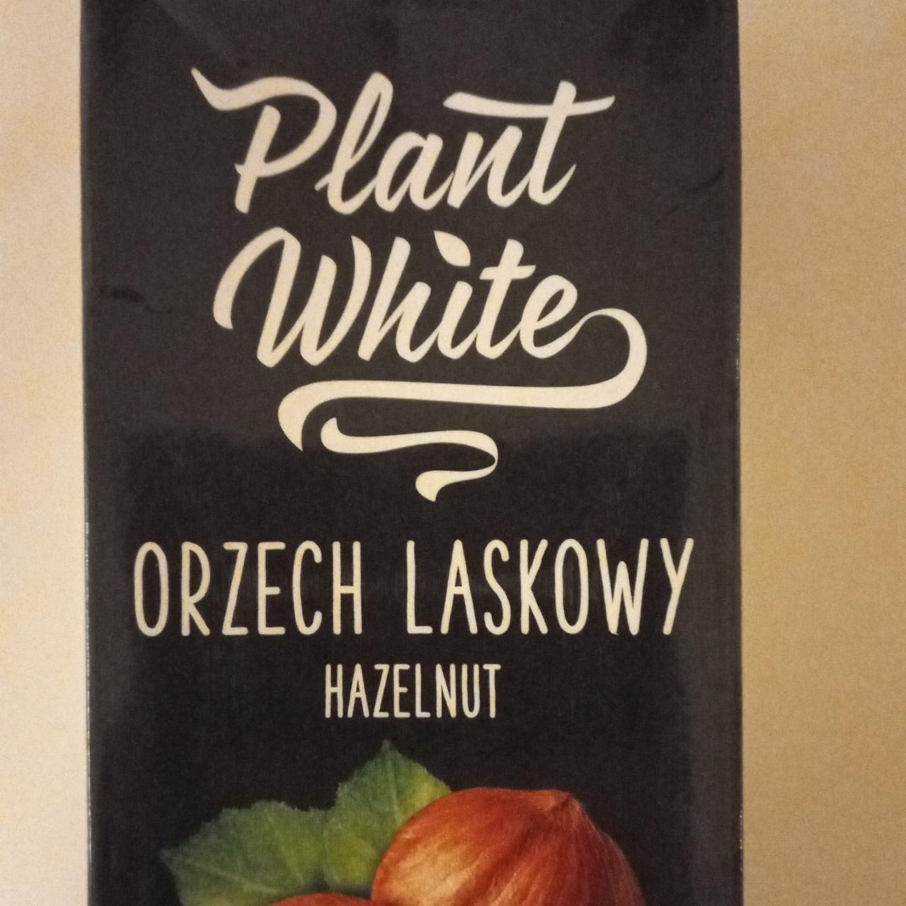 Zdjęcia - Orzech laskowy Plant white