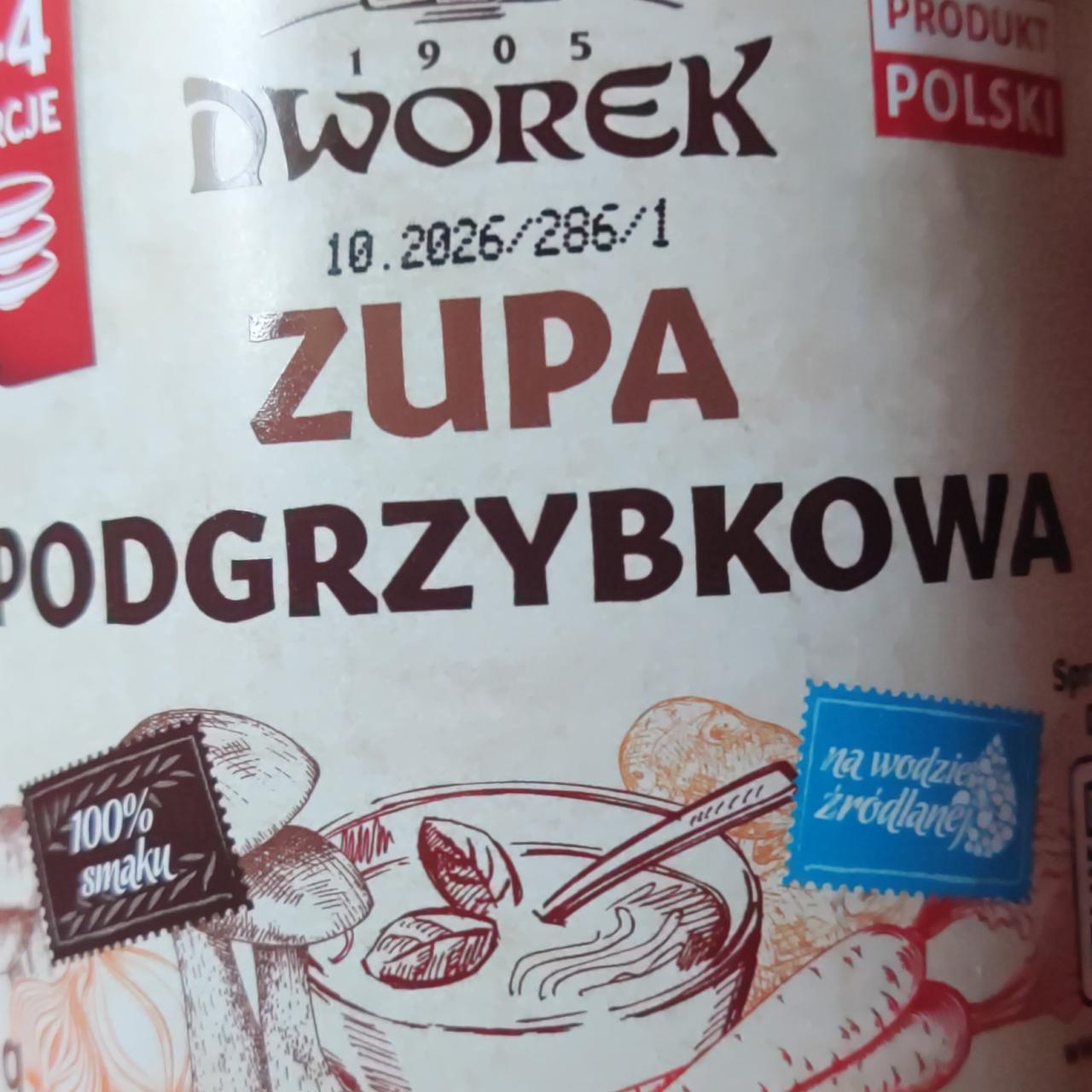 Zdjęcia - Zupa podgrzybkowa Dworek
