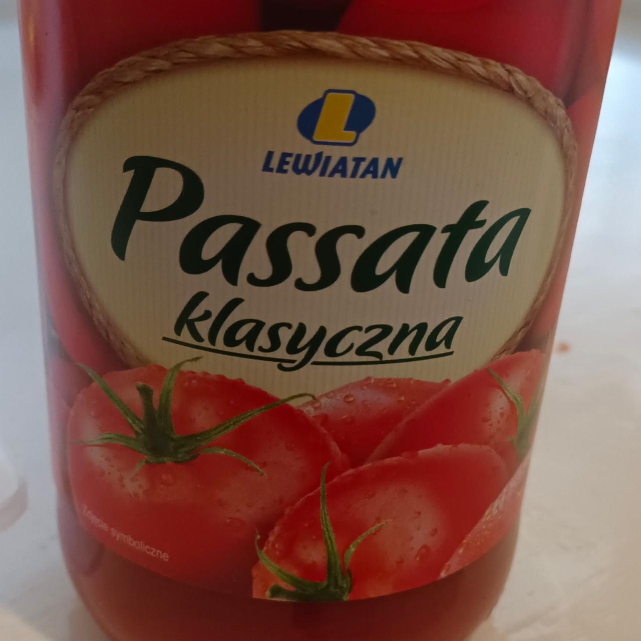 Zdjęcia - Passata Lewiatan