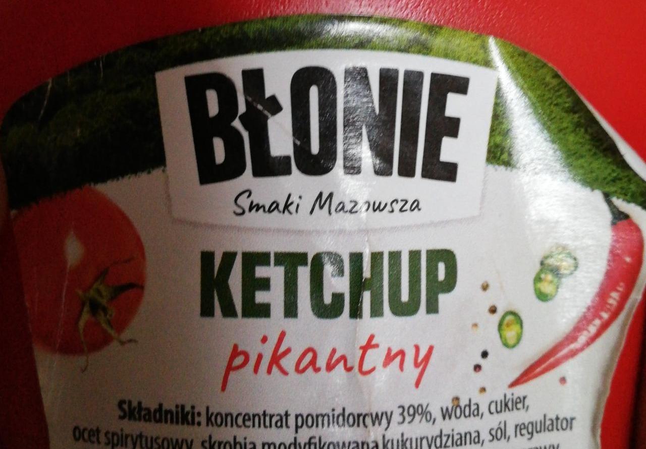 Zdjęcia - Ketchup pikantny Błonie
