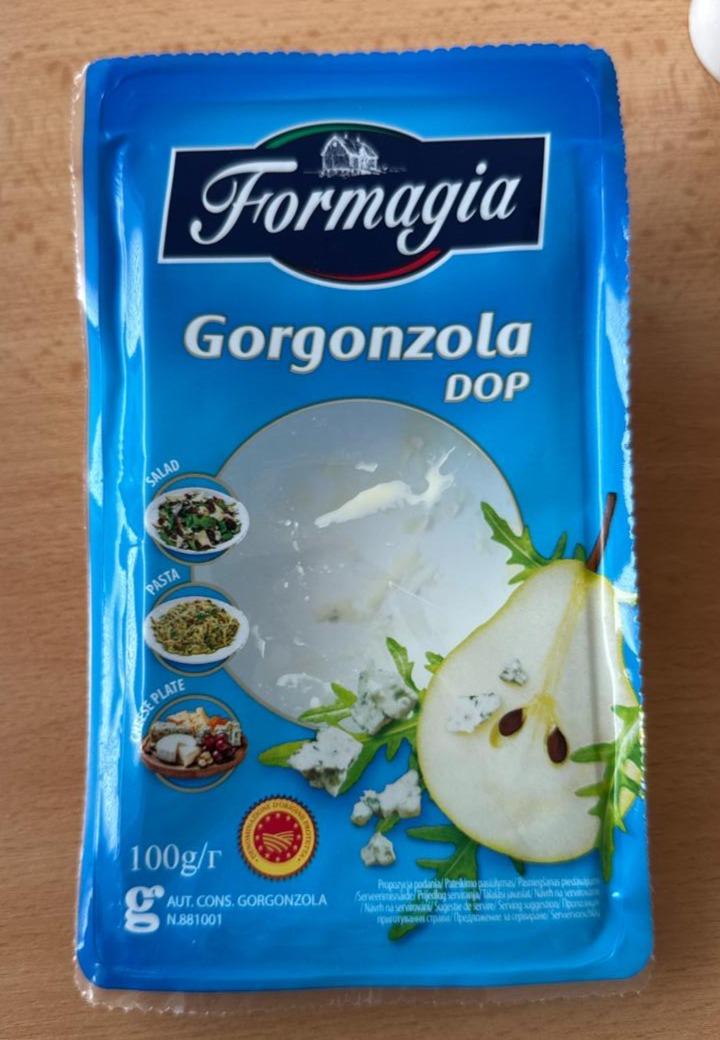 Zdjęcia - Formagia Gorgonzola DOP 100 g