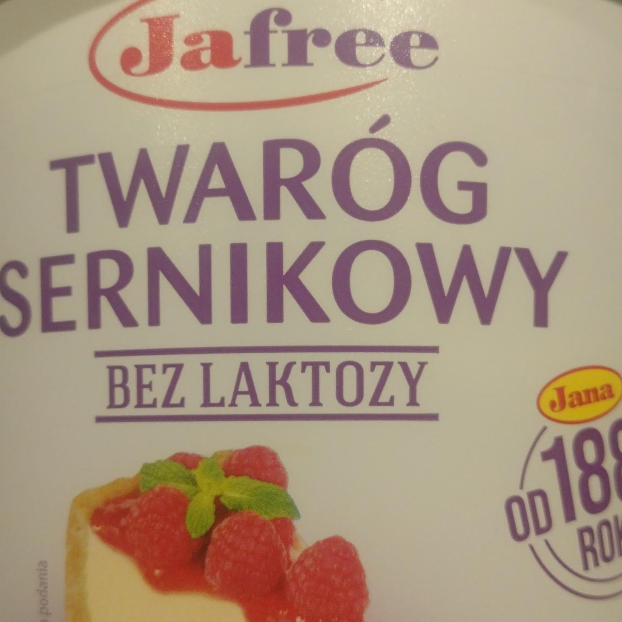 Zdjęcia - Twaróg sernikowy bezlaktozy Jana