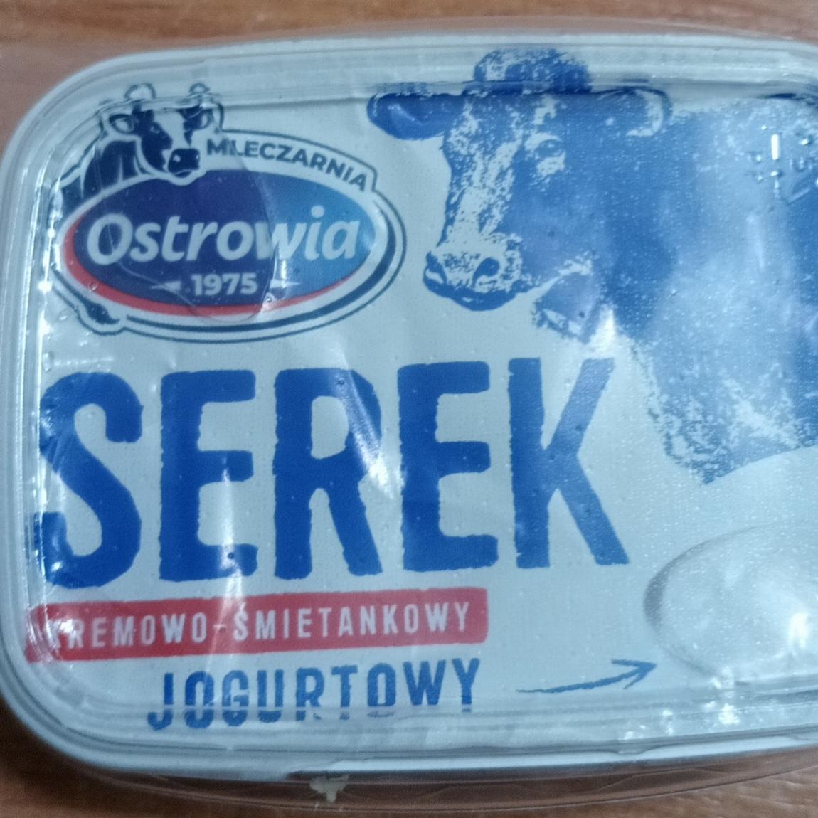 Zdjęcia - Serek jogurtowo śmietankowy Mleczarnia Ostrowia