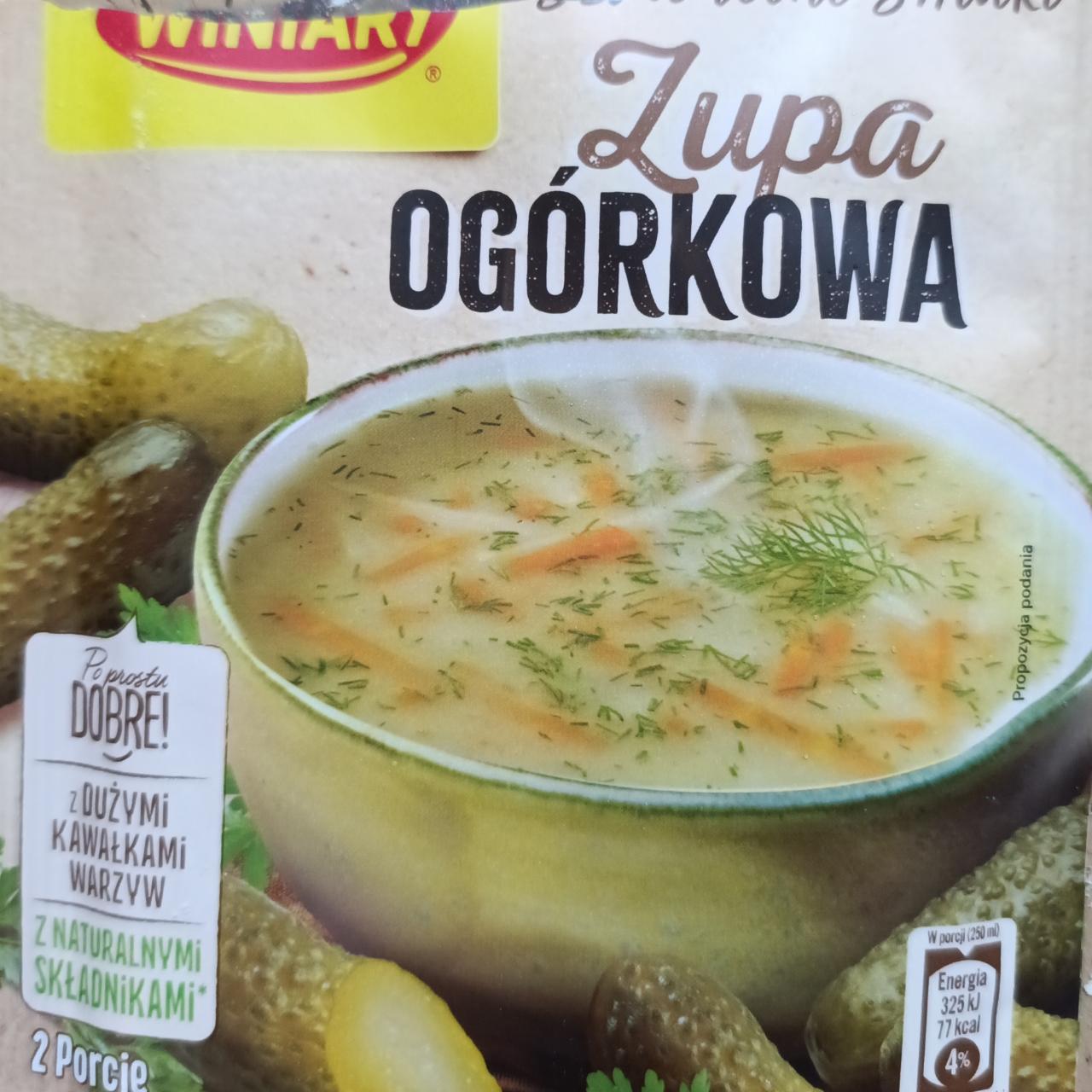 Zdjęcia - Zupa ogórkowa Winiary