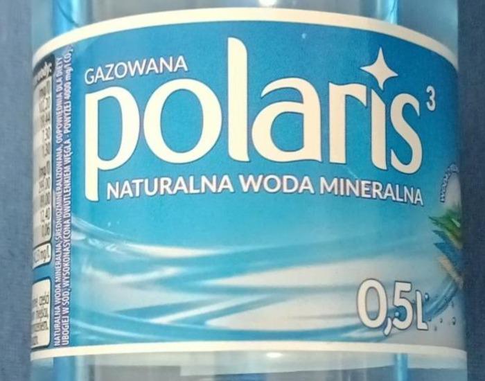 Zdjęcia - Gazowana naturalna woda mineralna 0.5l Polaris