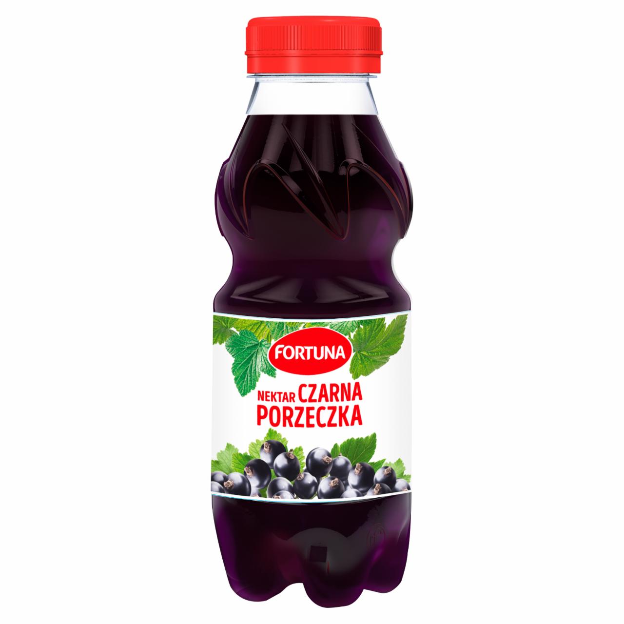 Zdjęcia - Fortuna Nektar czarna porzeczka 300 ml