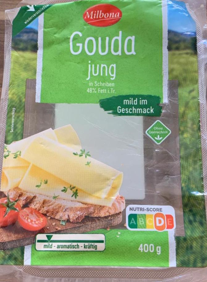 Zdjęcia - Gouda jung Milbona
