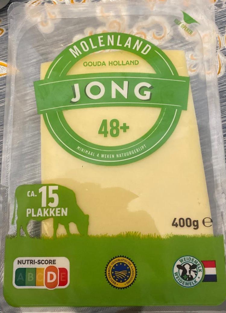 Zdjęcia - Gouda holland molenland Jong