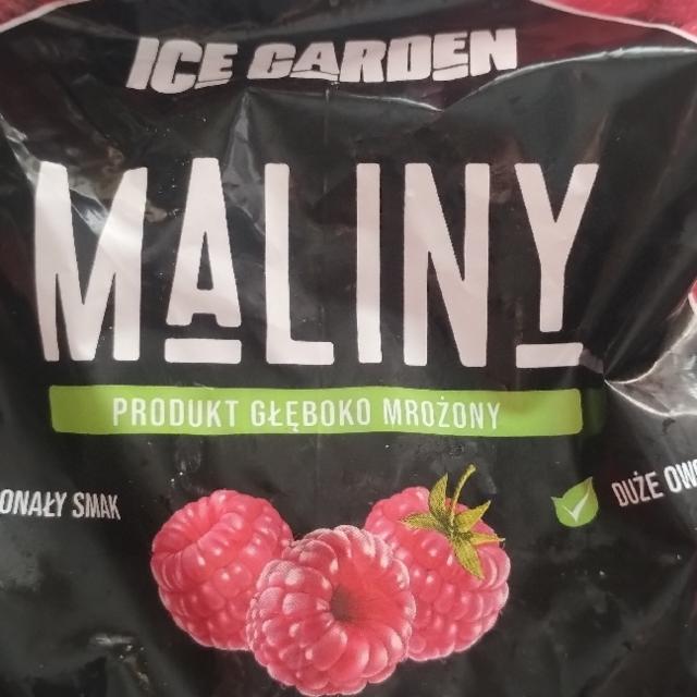 Zdjęcia - Maliny Ice garden