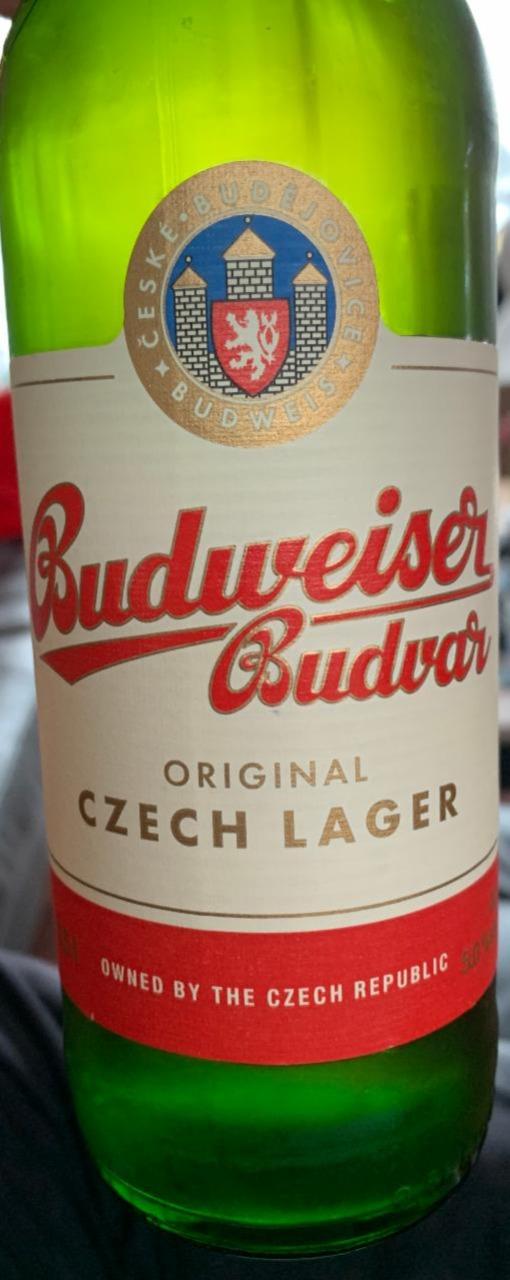 Zdjęcia - Original czech lager Budweiser Budvar