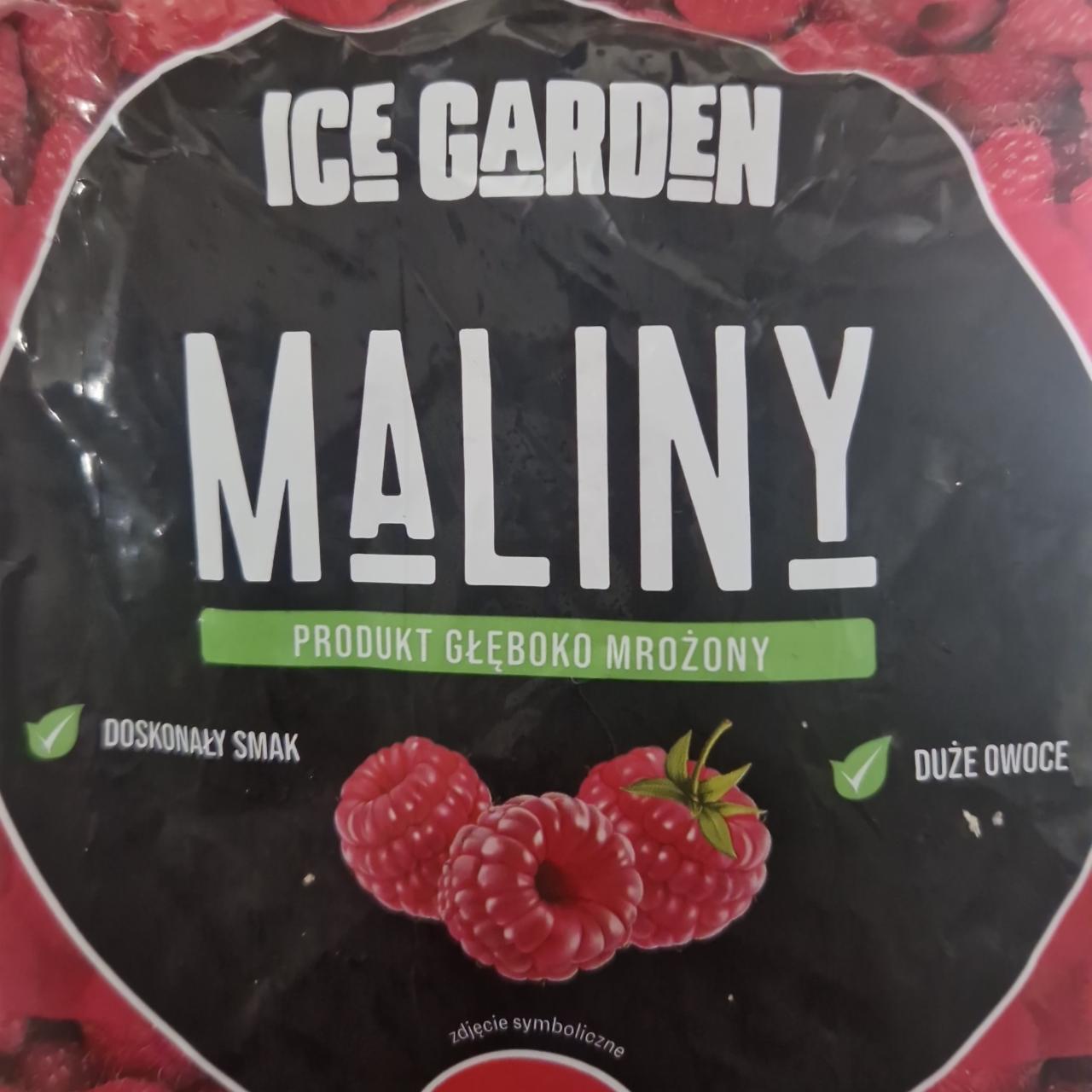 Zdjęcia - Maliny Ice garden