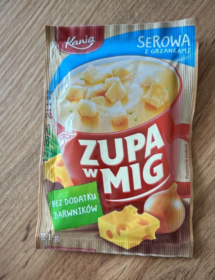 Zdjęcia - Zupa w mig serowa z grzankami Kania