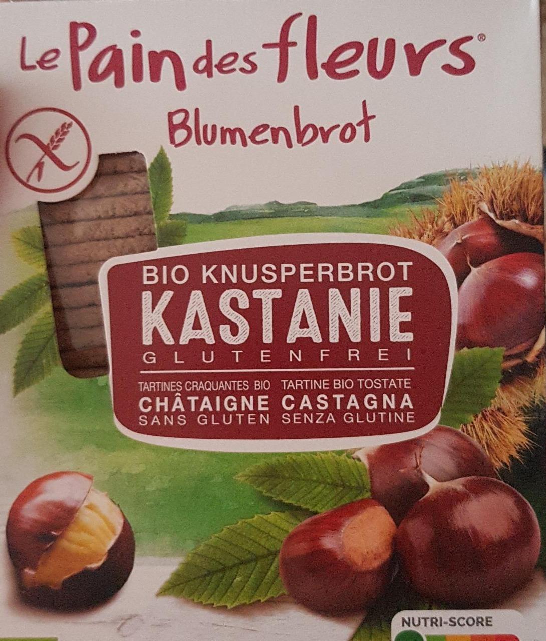 Zdjęcia - Bio knusperbrot kastanie glutenfirei Le Pain des fleurs