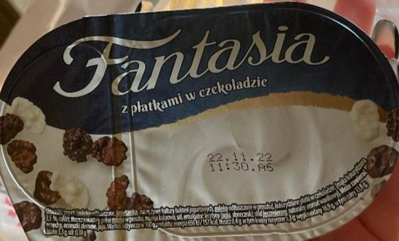 Zdjęcia - Fantasia z płatkami w czekoladzie Danone