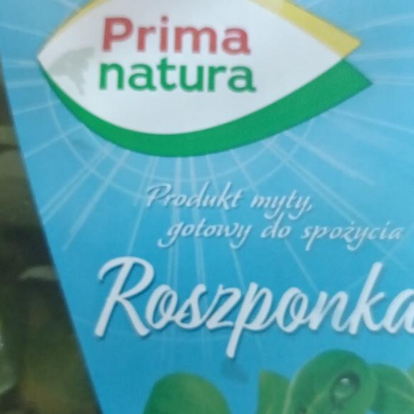 Zdjęcia - Roszpunka OrtoRomi