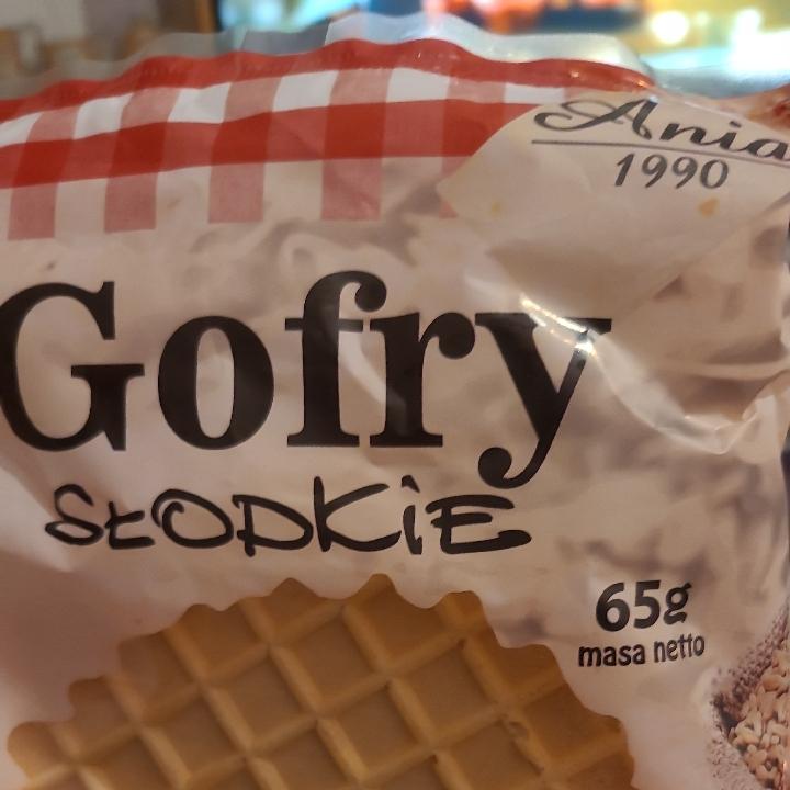 Zdjęcia - Gofry słodkie Ania